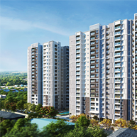 Mandate Projects